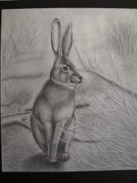 Drawing - Cast a Morning Shadow